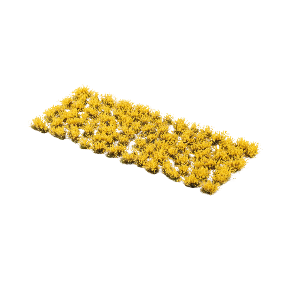 Broom Flowers
