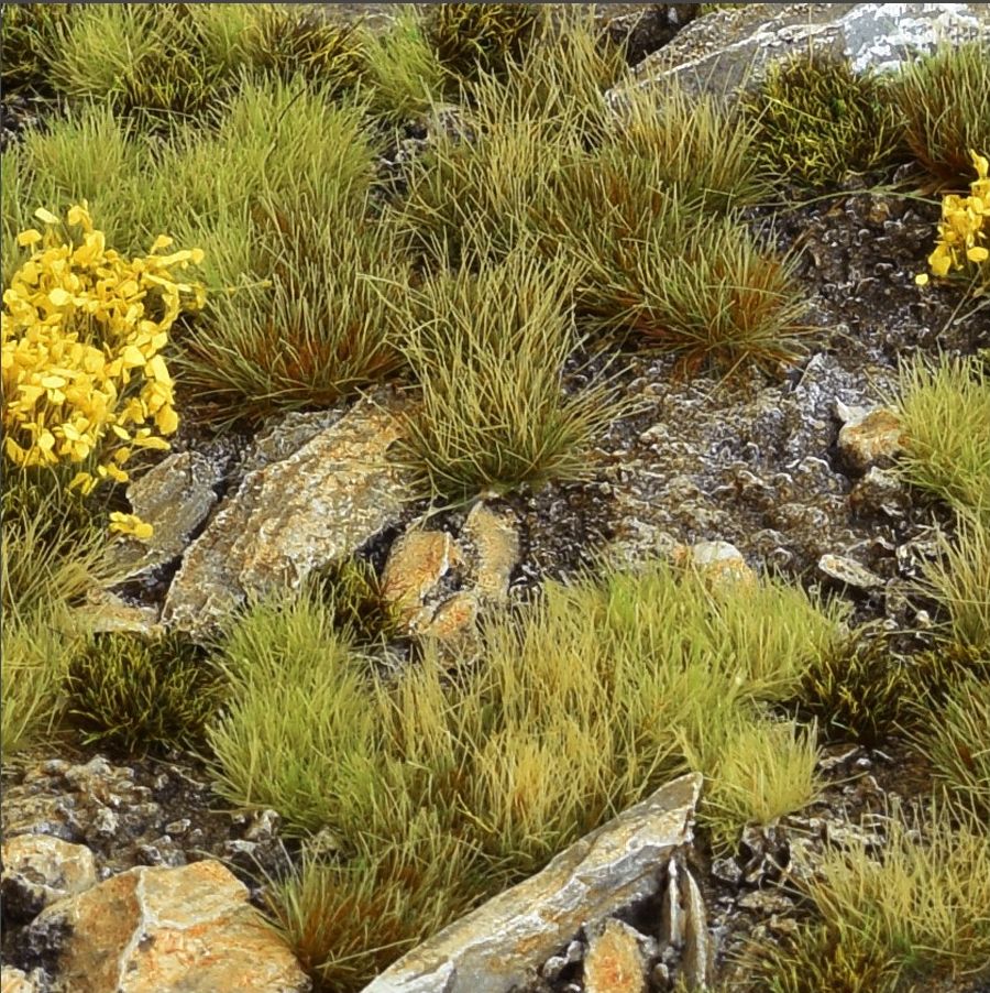 Highland Tuft Set (Wild)