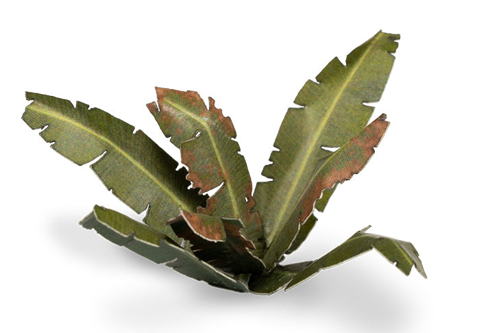 Banana Tree | Laser Plants