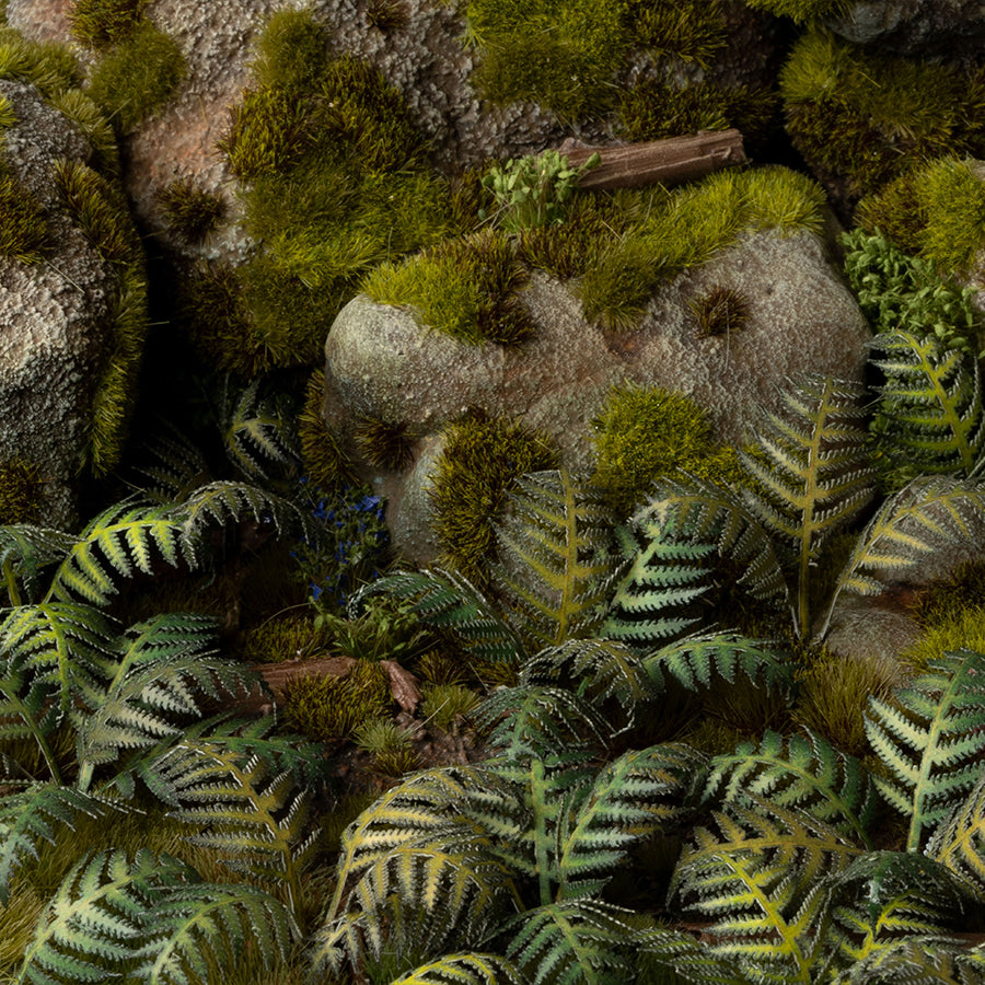 Bracken | Laser Plants