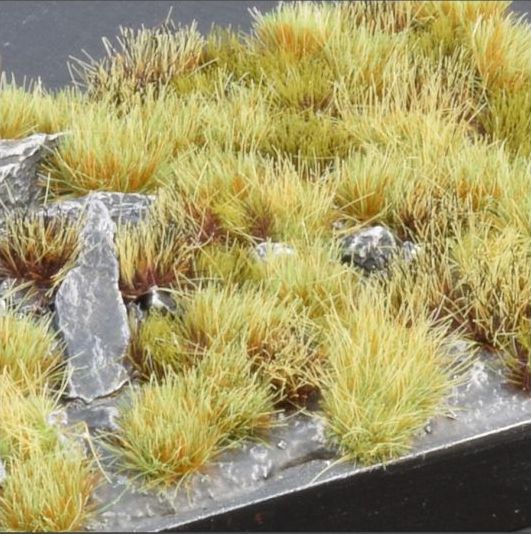 Marshland Set (Wild)