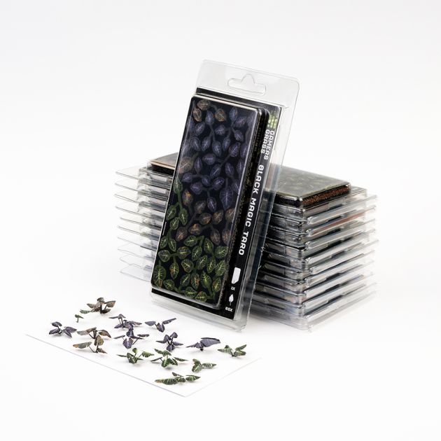 Black Magic Taro | Laser Plants