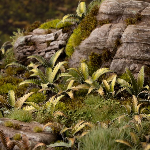 Deer Fern | Laser Plants